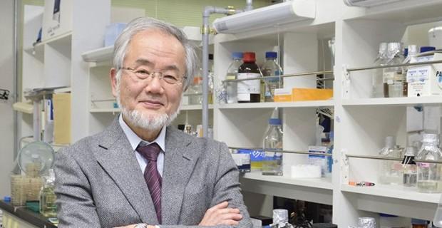 کشف جالب برنده نوبل فیزیولوژی در مورد تاثیر روزه داری بر مکانیسم بدن