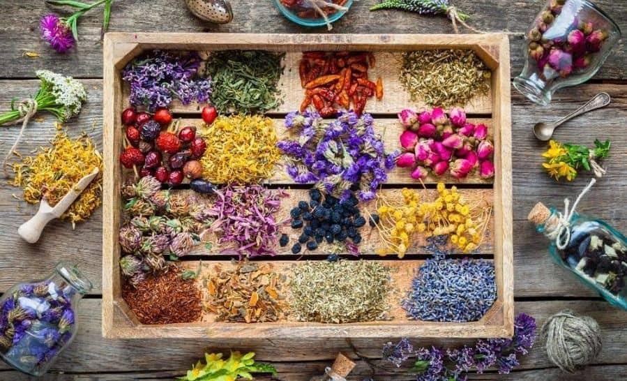 پایگاه داده های علمی در حوزه گیاهان دارویی راه اندازی شد پایگاه داده های علمی در حوزه گیاهان دارویی راه اندازی شد
