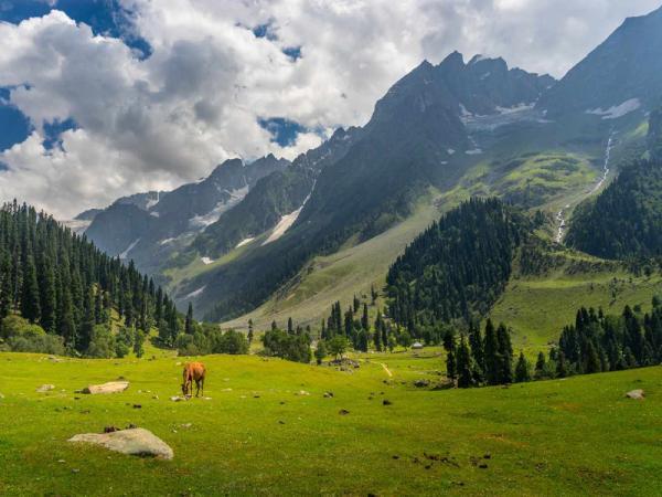 آشنایی با دره کشمیر و جاذبه های اطراف آن آشنایی با دره کشمیر و جاذبه های اطراف آن